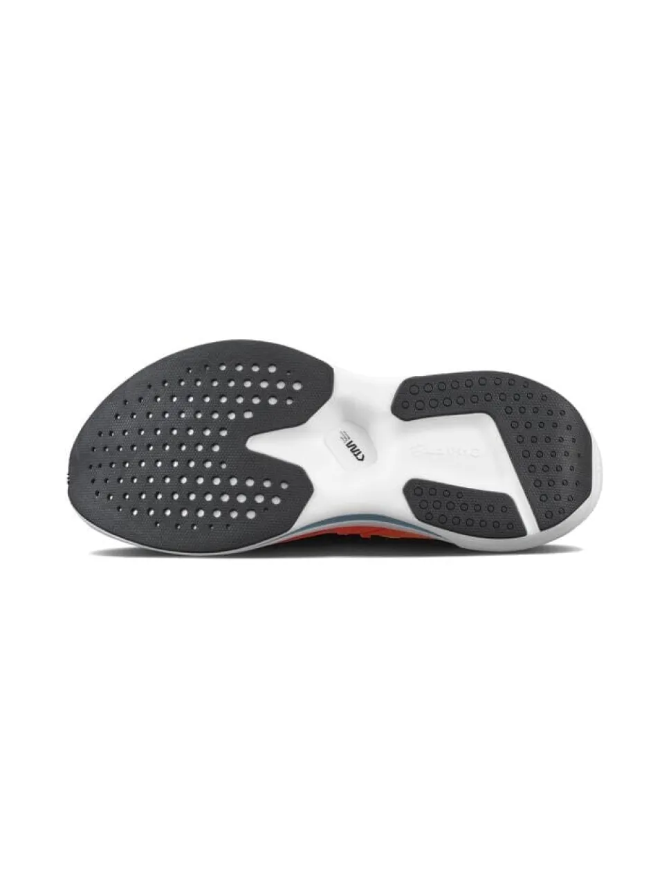 Women's Nordlite Tempo Running Shoe - SHOCK-FLUMINO